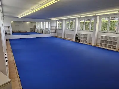 0711 BJJ - Brazilian Jiu-Jitsu Stuttgart BJJ Academy - photo 1