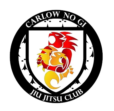 10th Planet Jiu Jitsu Carlow