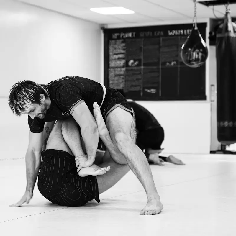 10th Planet Jiu-Jitsu Royal Oak BJJ Academy - photo 1