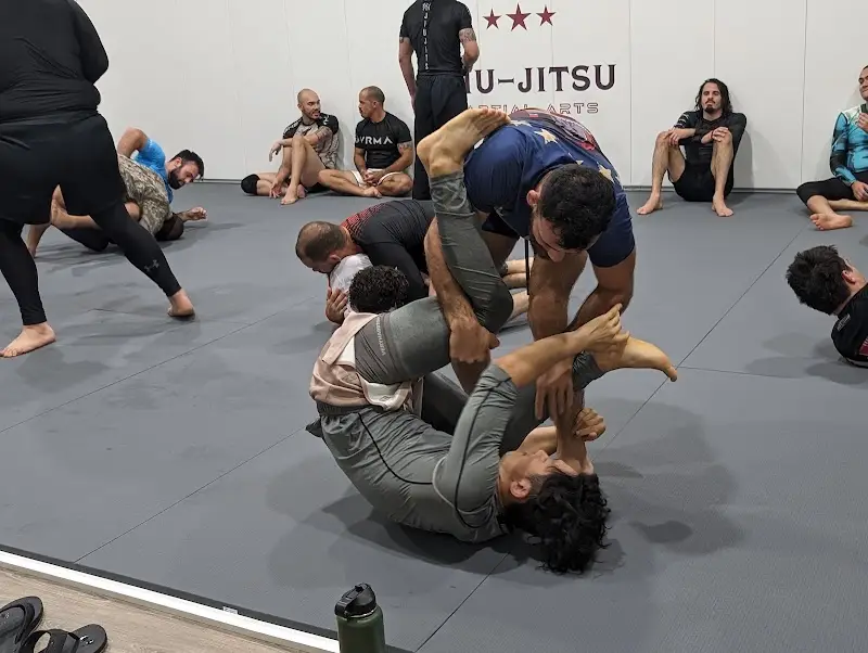 1Jiu-Jitsu Academy BJJ Academy - photo 1