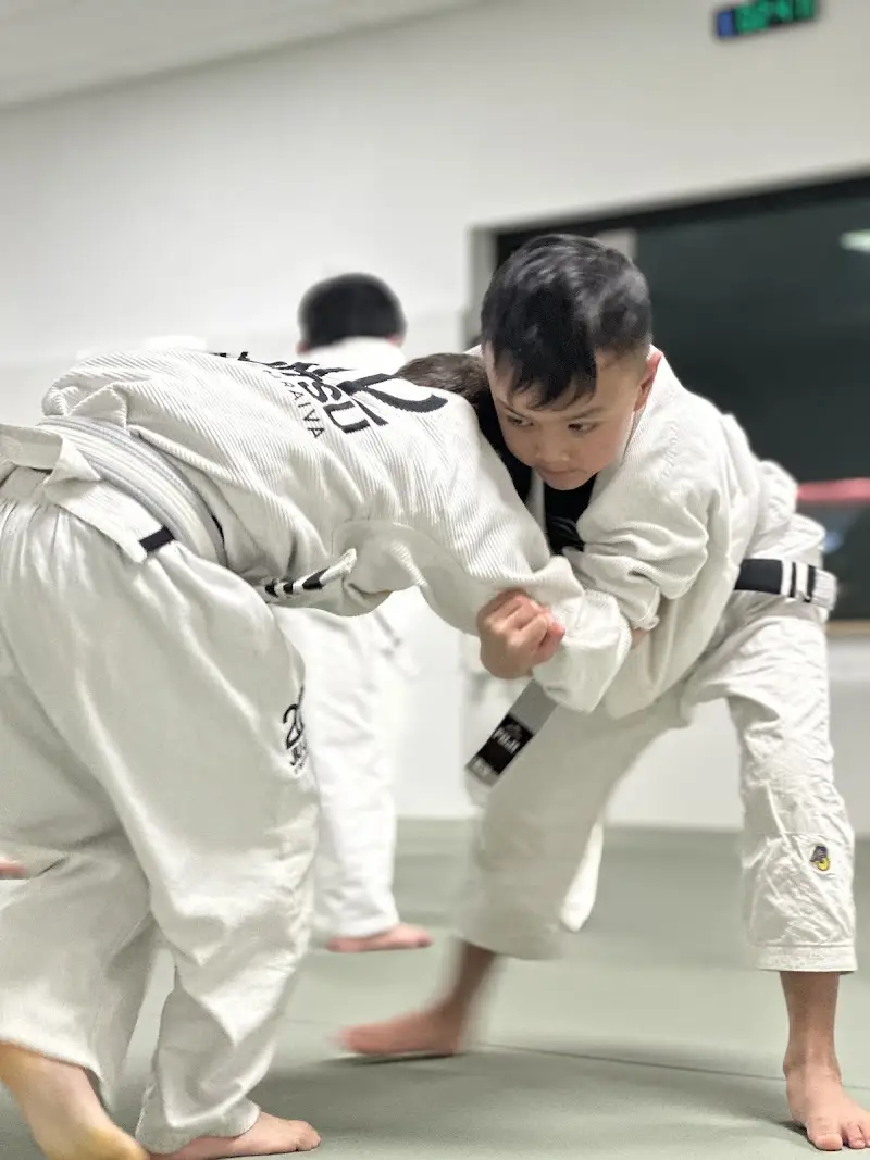 2002 Jiu Jitsu BJJ Academy - photo 1