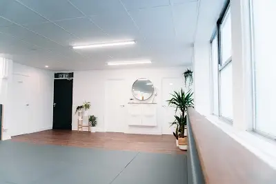222 JIU JITSU BJJ Academy - photo 2