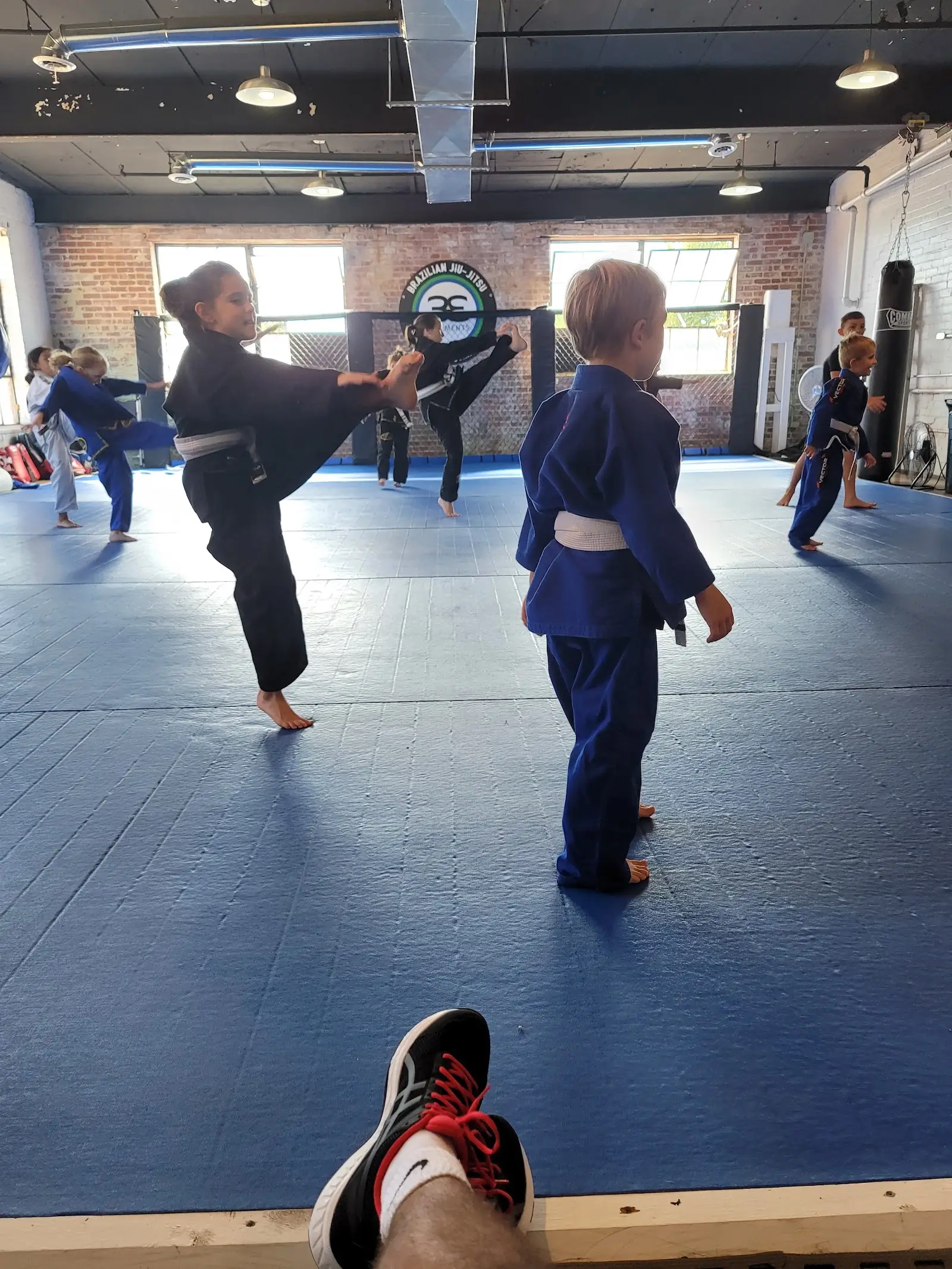 3 Elements BJJ and MMA