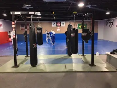 302 Brazilian Jiu-Jitsu BJJ Academy - photo 1