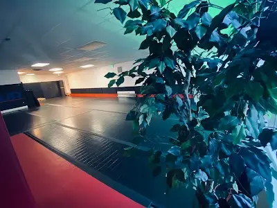 303 TRAINING CENTER (ARVADA BRAZILIAN JIU JITSU) BJJ Academy - photo 4