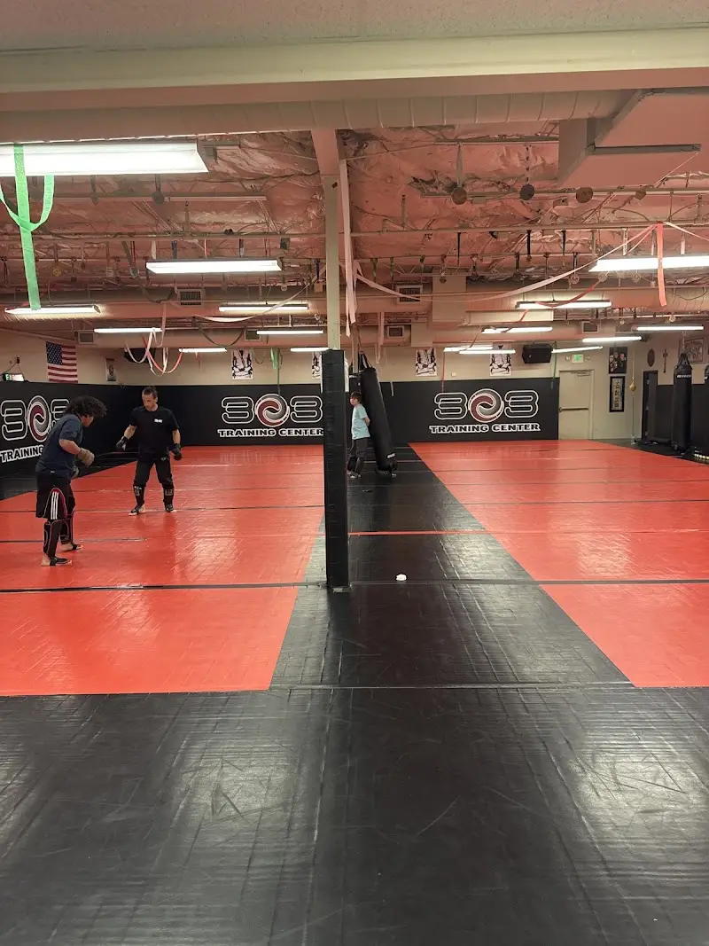 303 TRAINING CENTER (WESTMINSTER BRAZILIAN JIU JITSU)