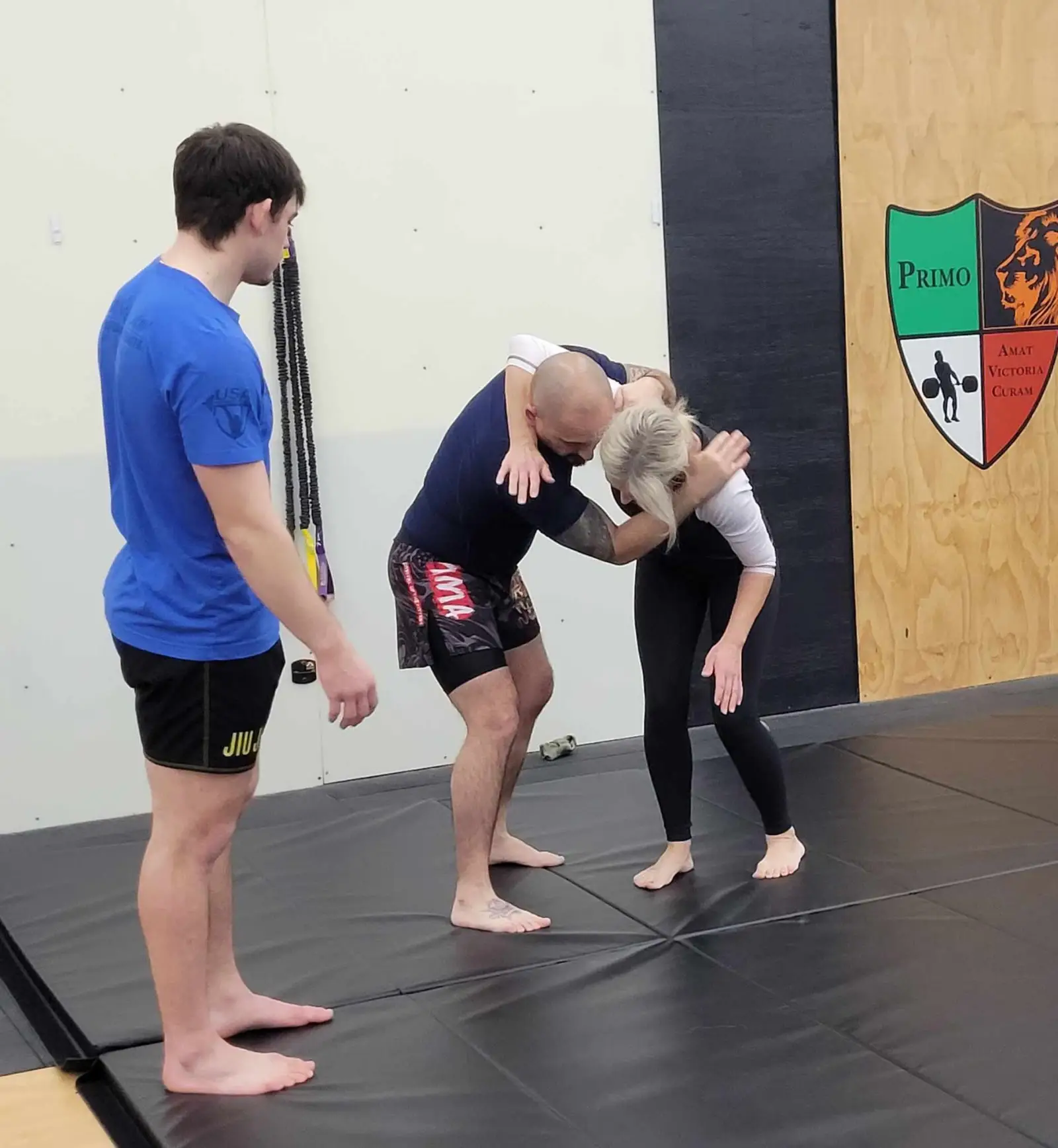 309 Jiu Jitsu Academy llc