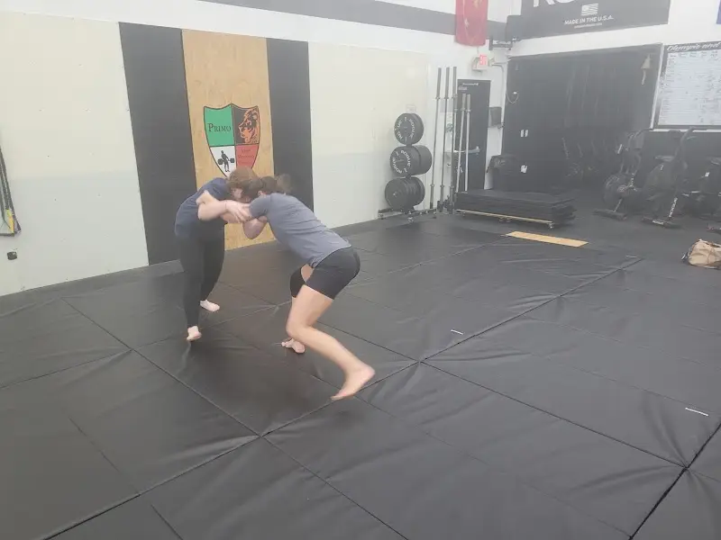 309 Jiu Jitsu Academy llc