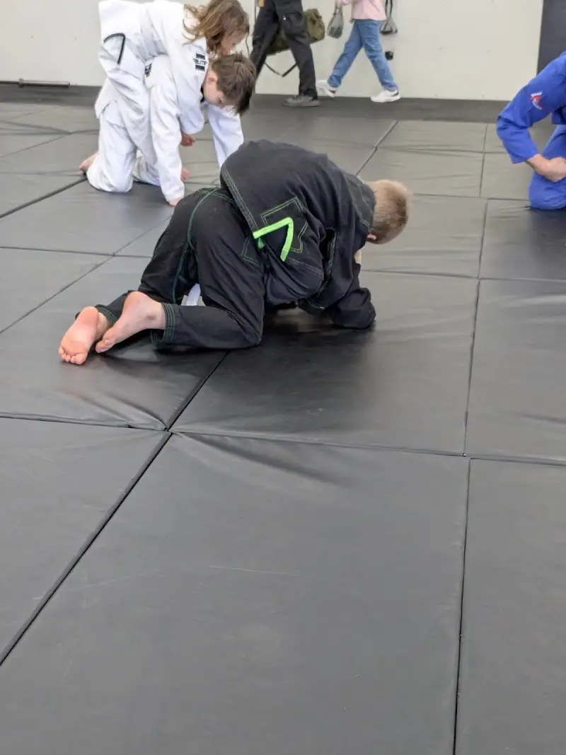 309 Jiu Jitsu Academy llc BJJ Academy - photo 1