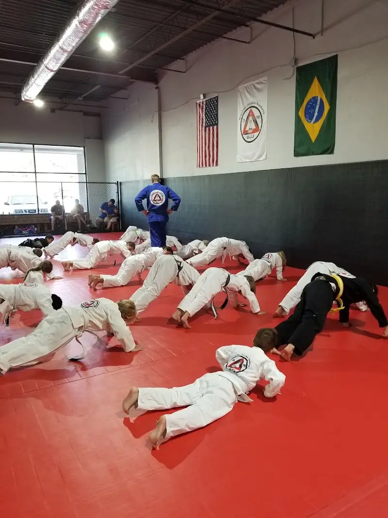 316 BJJ