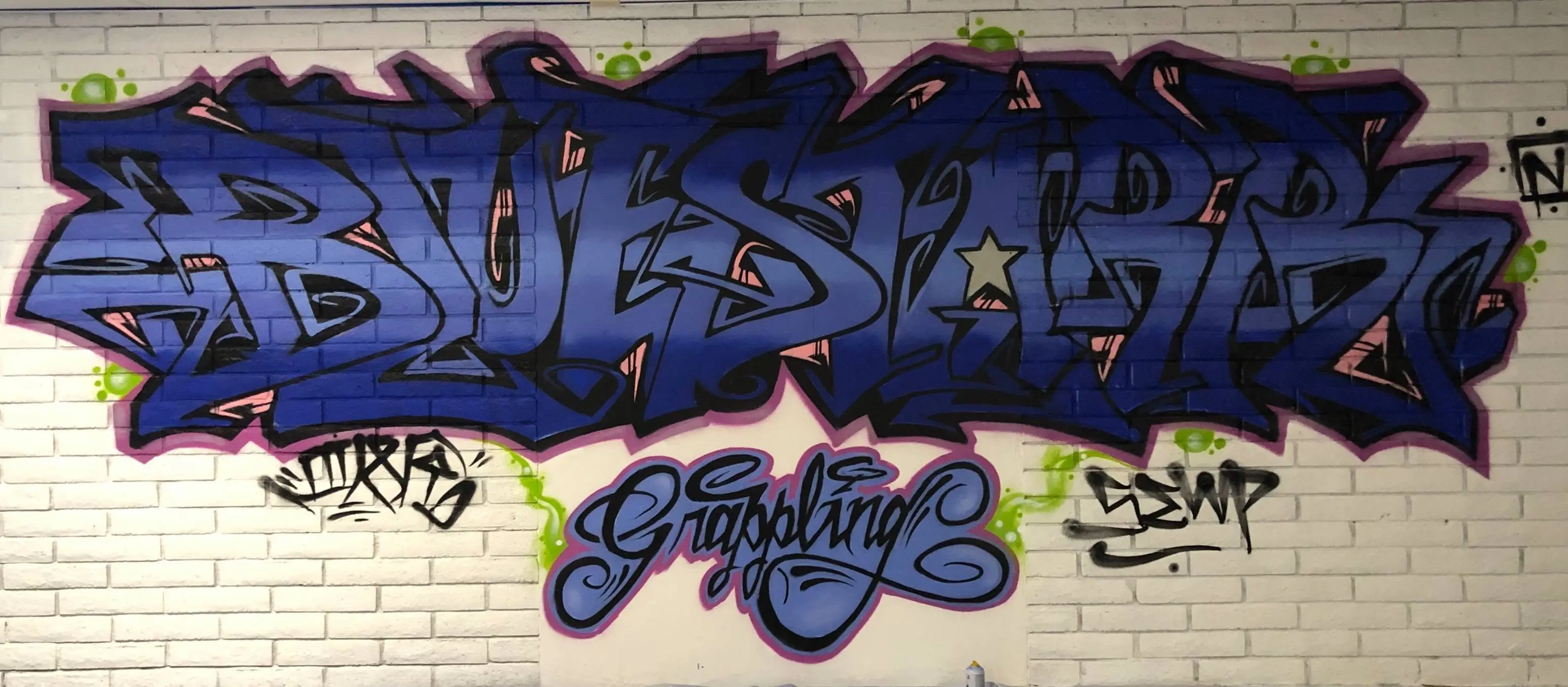 36 Chambers Jiu-Jitsu BJJ Academy - photo 3