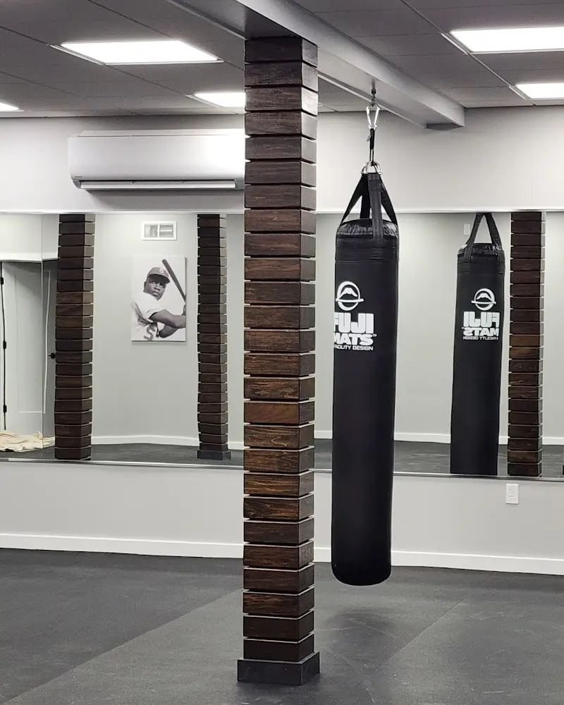 36E Fitness, LLC BJJ Academy - photo 2