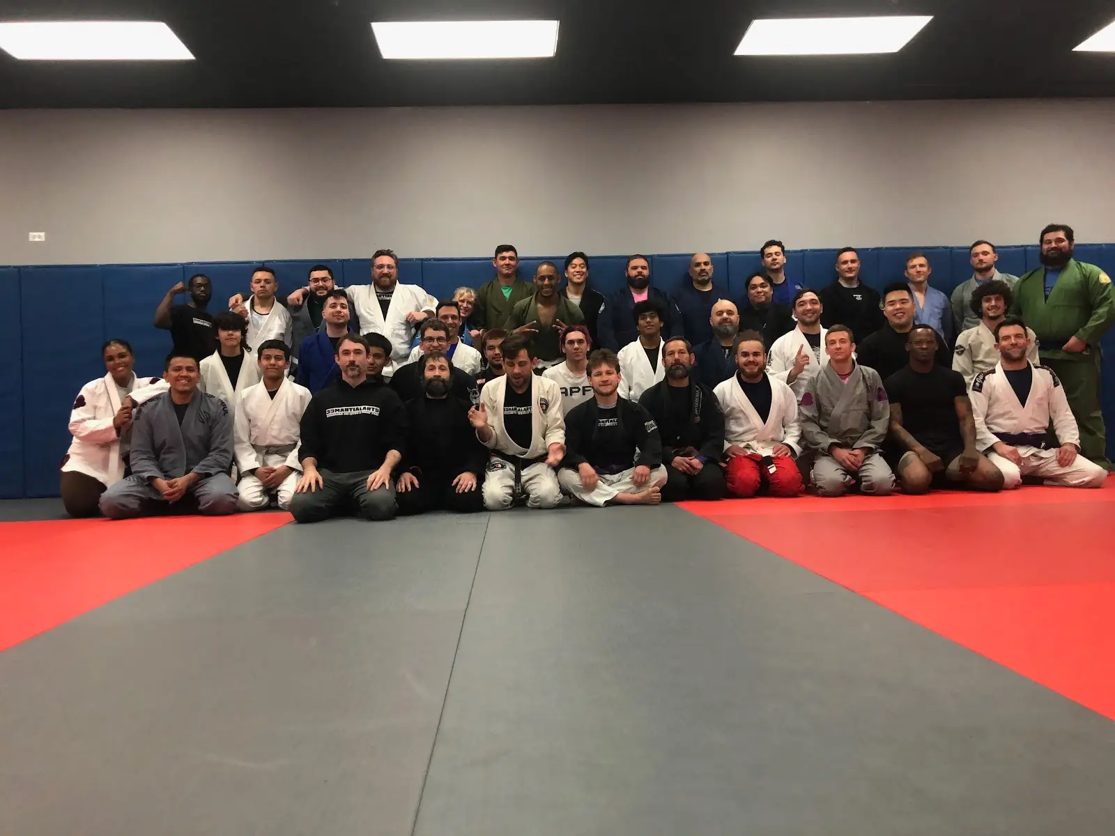 3D MMA Brazilian Jiu Jitsu