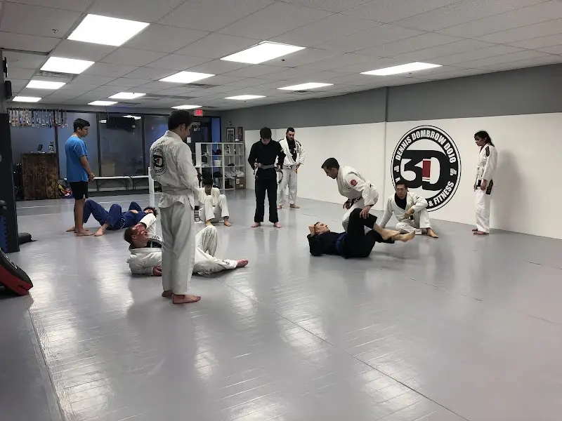 3D MMA Brazilian Jiu Jitsu