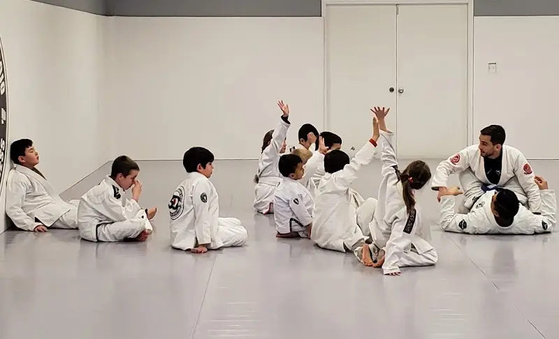 3D MMA Brazilian Jiu Jitsu BJJ Academy - photo 1