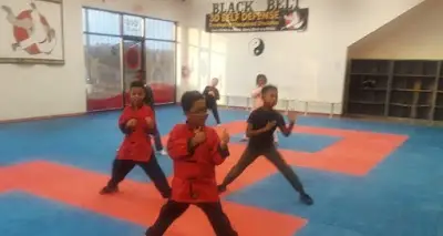 3D Self Defense, LLC BJJ Academy - photo 1