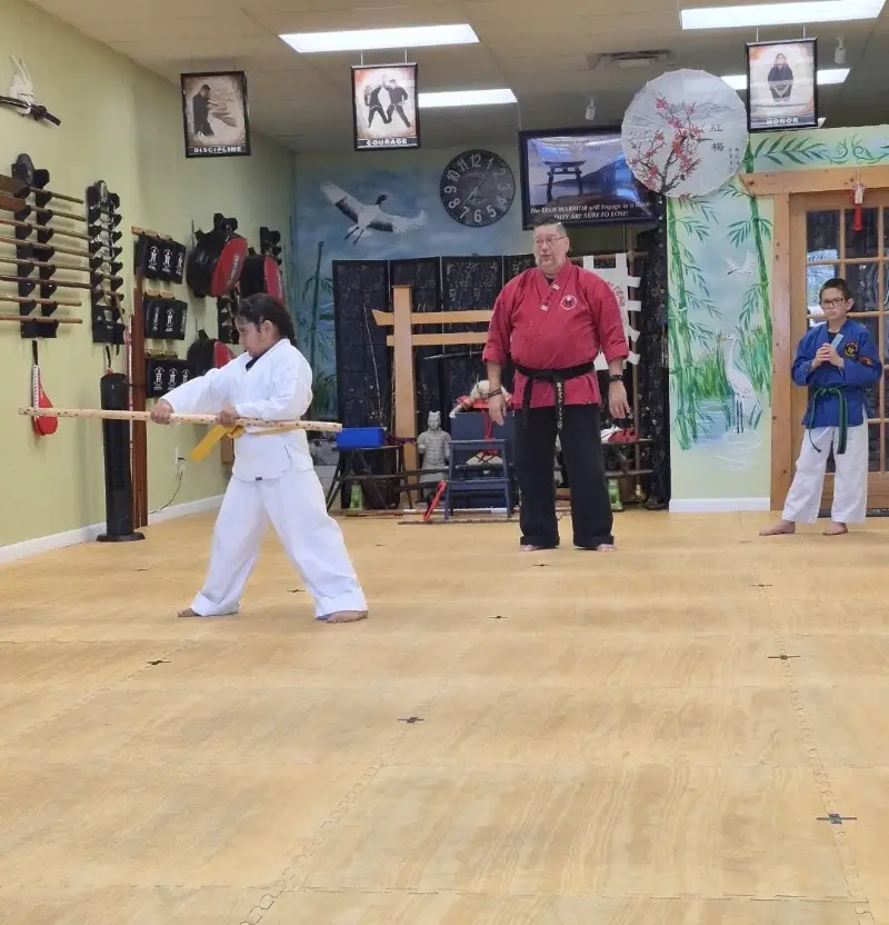 4 Towers Martial Arts BJJ Academy - photo 1