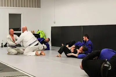 419 Jiu Jitsu