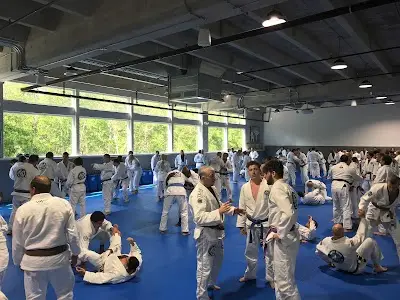 5 Elements Gracie Jiu-Jitsu BJJ Academy - photo 3