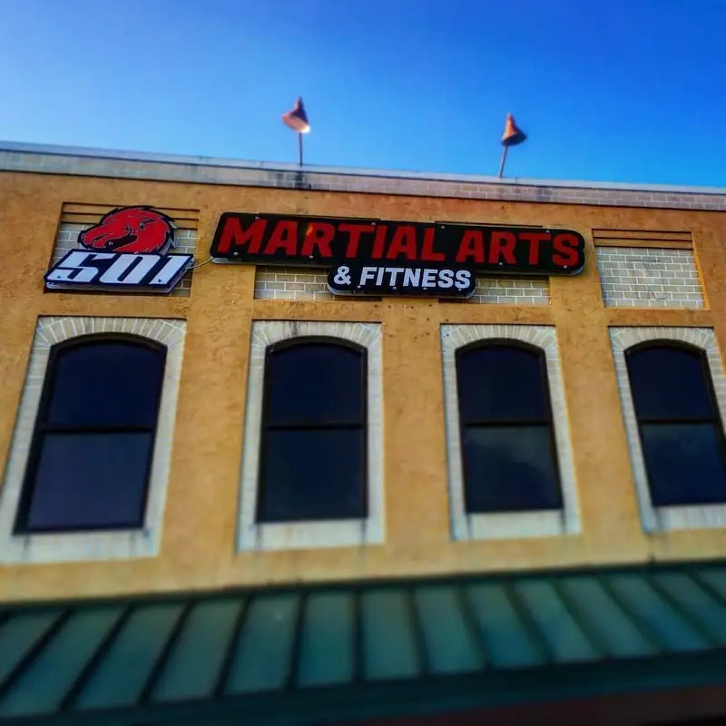 501 BJJ & Kickboxing (501 Martial Arts) BJJ Academy - photo 1