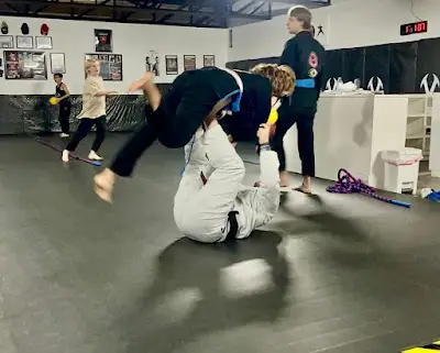 519 Martial Arts BJJ Academy - photo 1