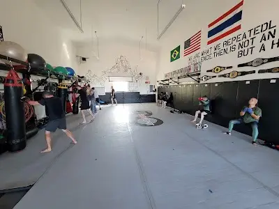 5th Element Jiu-Jitsu/Kickboxing BJJ Academy - photo 1