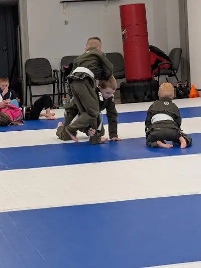 7 Virtues Jiu-Jitsu BJJ Academy - photo 3