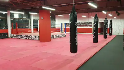 8 Limbs Muay Thai Martial Arts Academy BJJ Academy - photo 1