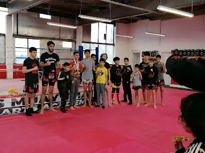 8 Limbs Muay Thai Martial Arts Academy BJJ Academy - photo 2