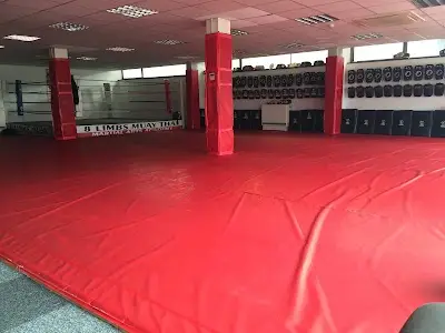 8 Limbs Muay Thai Martial Arts Academy BJJ Academy - photo 2
