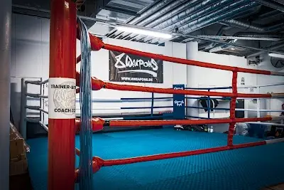 8 Weapons Gym Leipzig e.V. BJJ Academy - photo 1