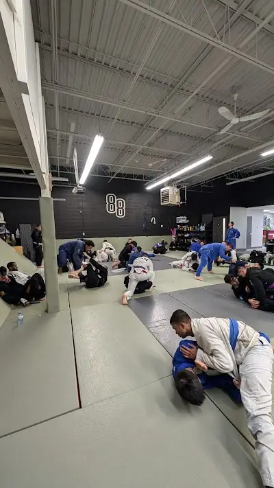 88 BJJ - Markham's Brazilian Jiu Jitsu & Academy of Mixed Martial Arts BJJ Academy - photo 2