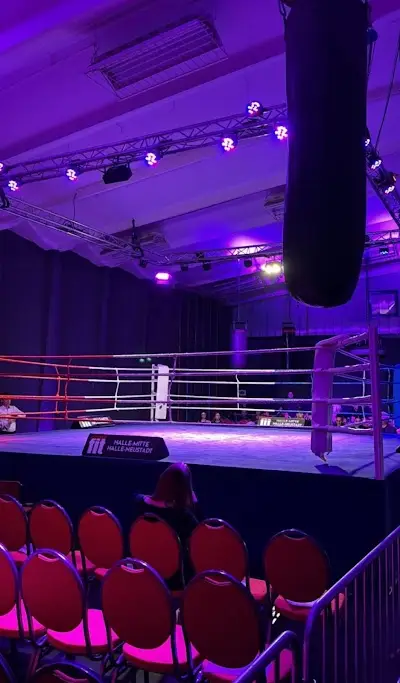 8M - The sports hall BJJ Academy - photo 1