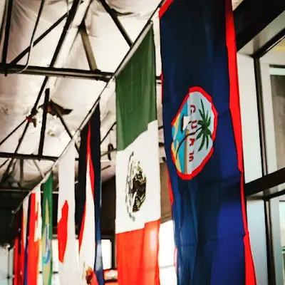 9th Isle Bjj Inc. BJJ Academy - photo 4