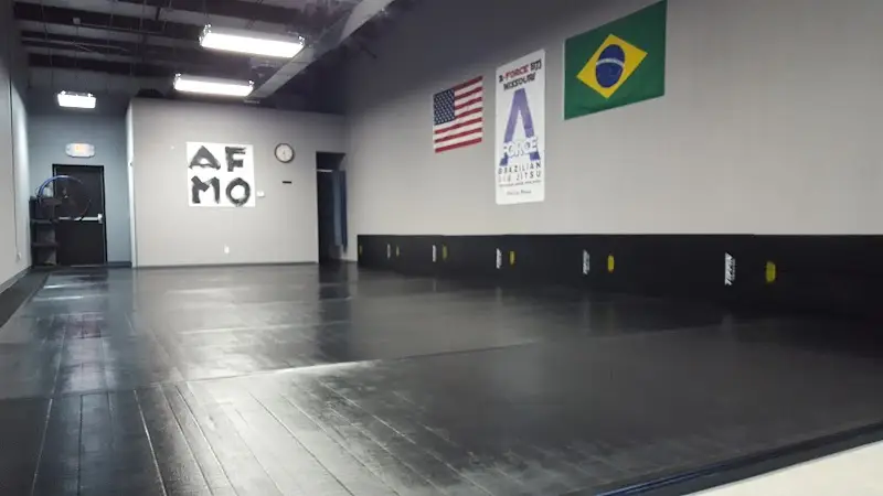 A-Force BJJ Missouri BJJ Academy - photo 1
