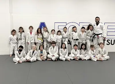 A-Force Brazilian Jiu Jitsu Academy - Manhasset BJJ Academy - photo 1