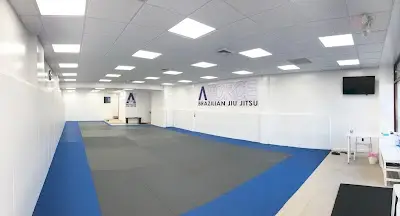 A-Force Brazilian Jiu Jitsu Academy - Port Washington BJJ Academy - photo 1