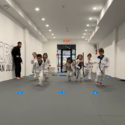 A-Force Brazilian Jiu Jitsu Academy - Port Washington BJJ Academy - photo 3