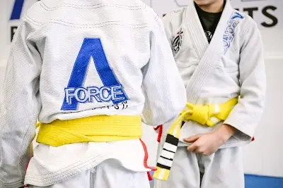 A-Force Brazilian Jiu Jitsu Academy - Rockville Centre BJJ Academy - photo 1