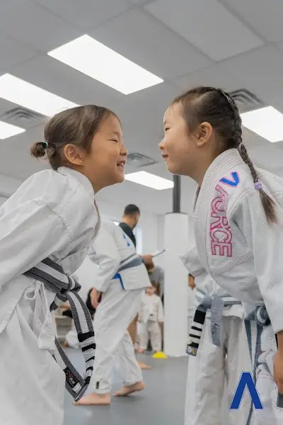 A-Force Brazilian Jiu Jitsu Academy - Roslyn BJJ Academy - photo 2