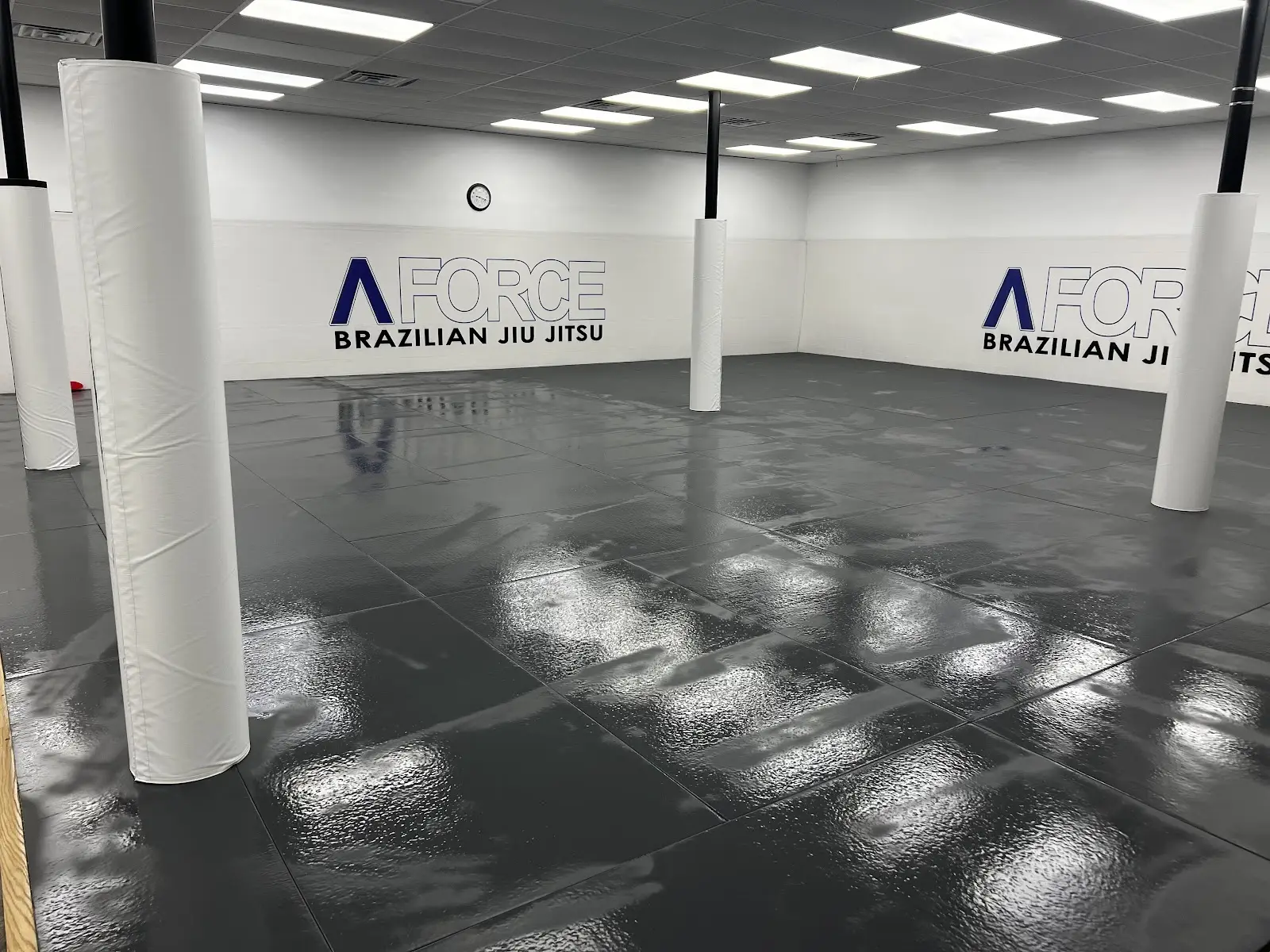 A-Force Brazilian Jiu Jitsu Academy - Syosset
