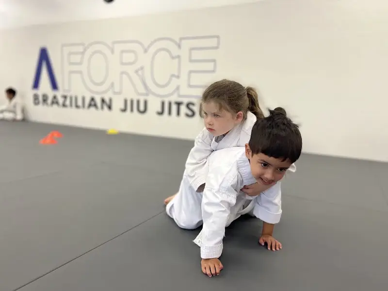 A-Force Brazilian Jiu Jitsu Academy - Syosset