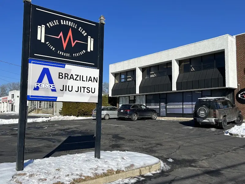 A-Force Brazilian Jiu Jitsu - East Northport BJJ Academy - photo 1