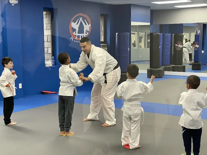 A+ Martial Arts