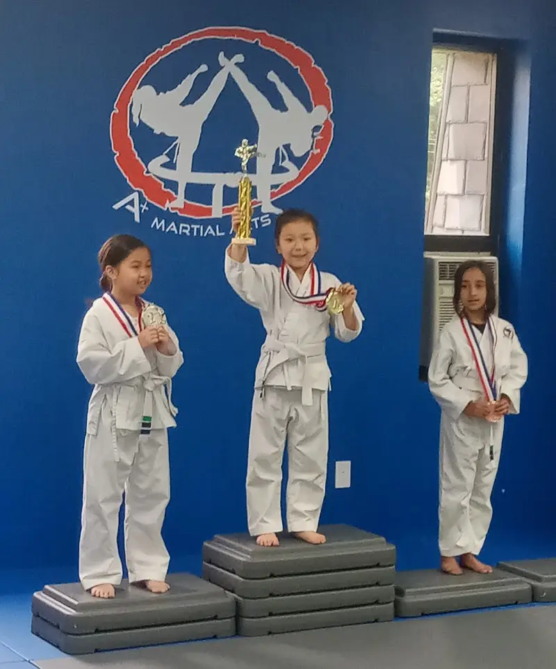 A+ Martial Arts BJJ Academy - photo 1