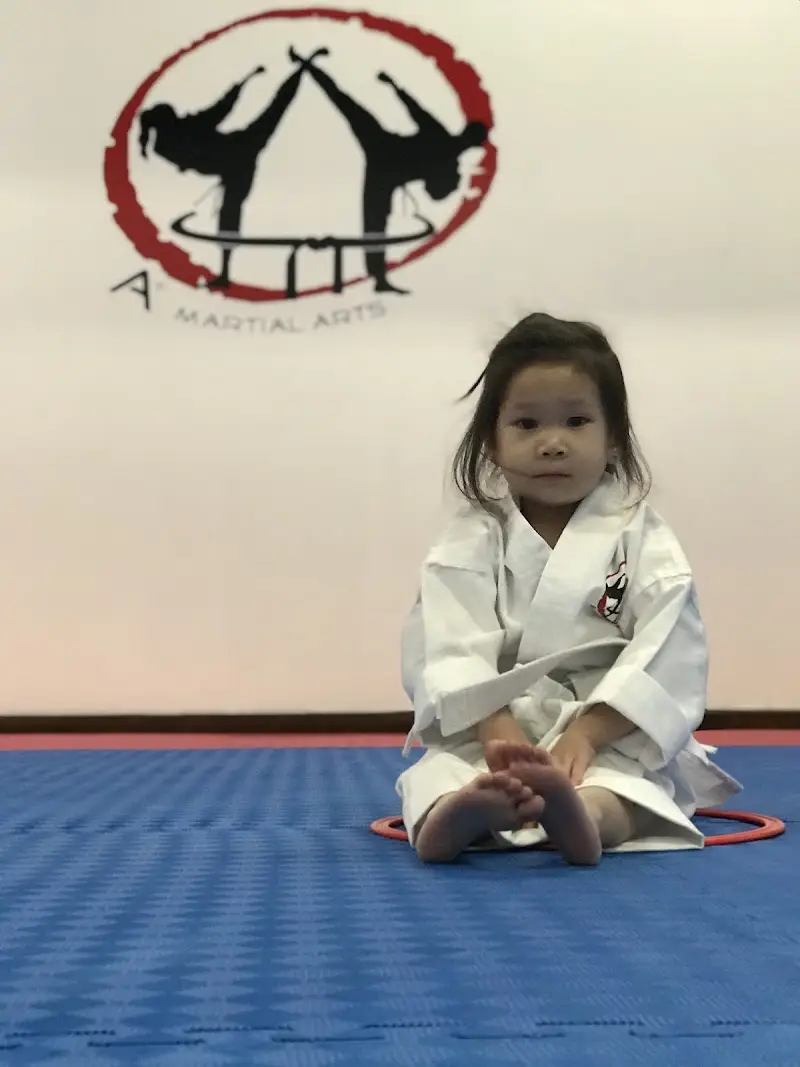 A+ Martial Arts BJJ Academy - photo 2