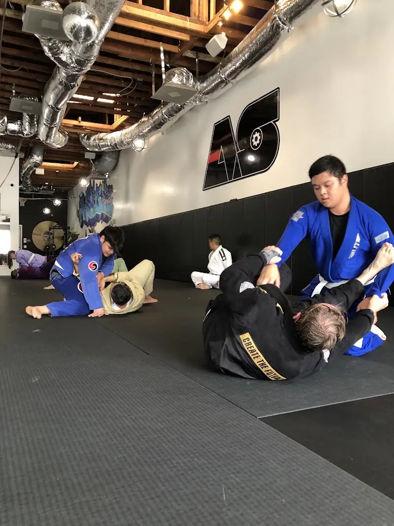 A-Side Jiu Jitsu and Fitness, LLC BJJ Academy - photo 1