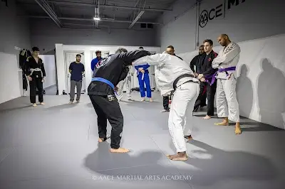 AACE Martial Arts Academy BJJ Academy - photo 1