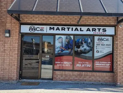 AACE Martial Arts Academy BJJ Academy - photo 2