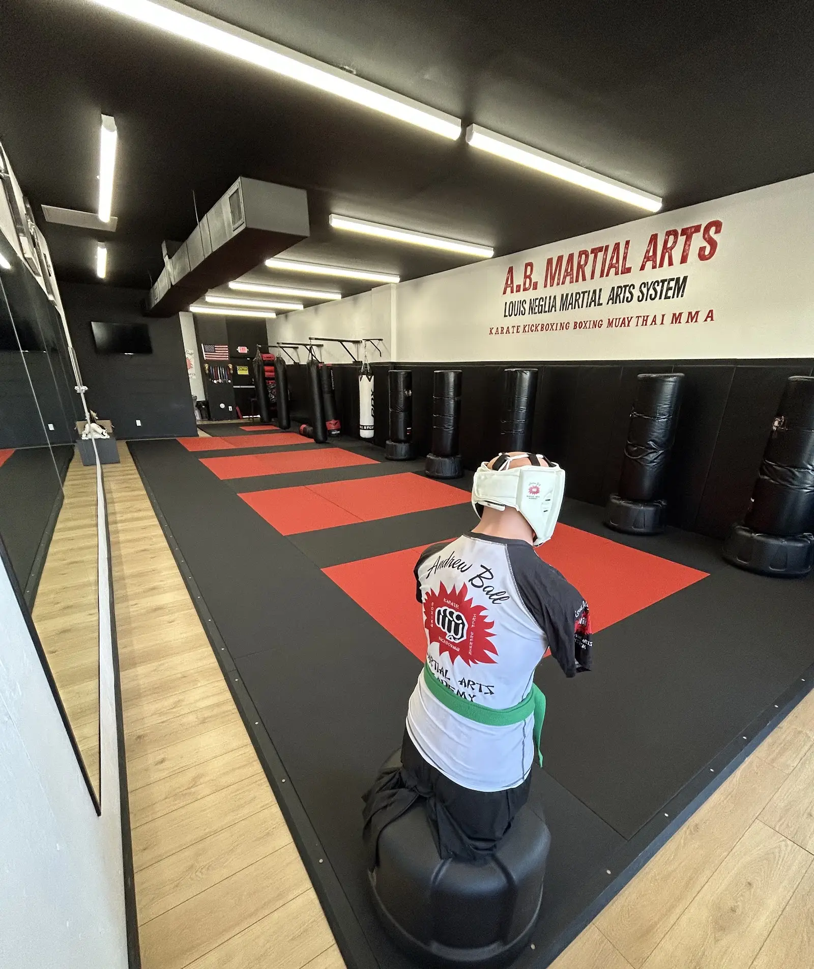 AB Martial Arts Academy